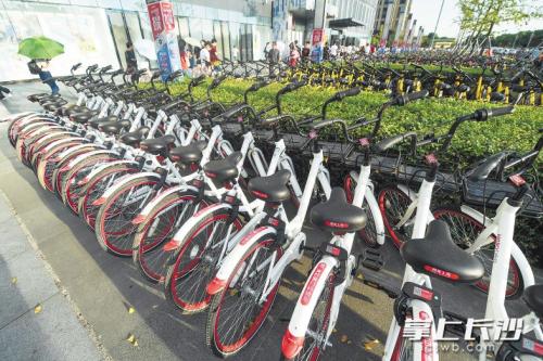 昨日下午，在開(kāi)福區(qū)萬(wàn)達(dá)廣場(chǎng)，成片的共享單車(chē)停放在廣場(chǎng)前坪。 長(zhǎng)沙晚報(bào)記者 黃啟晴 攝