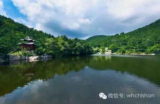 花期已過葉還未紅 去赤山賞云吧！