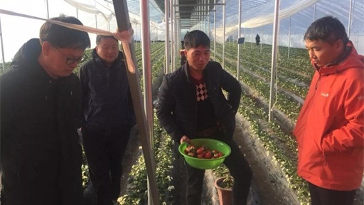 助力第一書記 農村廣播再次走進刁家鄉(xiāng)助推草莓產業(yè)扶貧