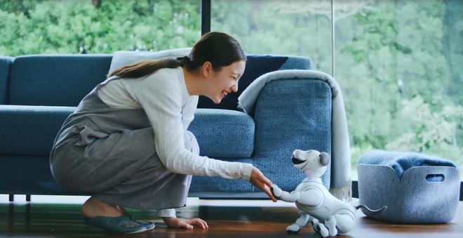 與人親密互動的aibo