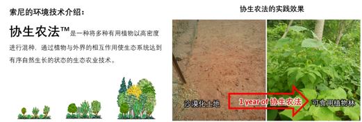 協(xié)生農(nóng)法介紹及實(shí)踐效果