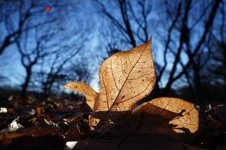 16mm, F4, 1/500s, ISO 100, +0.7EV ILCE-7RM4A+SELP1635G