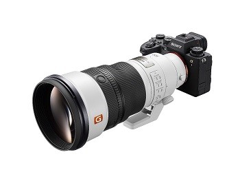 Alpha 1+FE 300mm F2.8 GM OSS優(yōu)異成像和唯美背景虛化