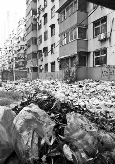 透過擋板縫向內看，30多米垃圾已經將居民樓包圍。