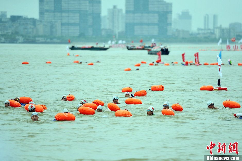 圖為江面上的橫渡方隊(duì)里的選手們劈波斬浪。中新社發(fā) 張暢 攝