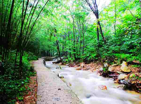 端午來(lái)出游 河南景區(qū)優(yōu)惠大盤點(diǎn)