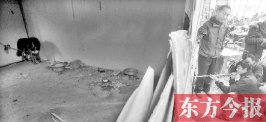 12月4日，鄭州市未來路與隴海路交叉口西側(cè)，執(zhí)法人員用吹管麻醉針對(duì)付一只藏獒