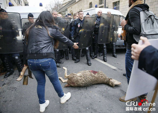 　　當(dāng)?shù)貢r間2014年11月27日，法國巴黎，法國農(nóng)民帶綿羊在埃菲爾鐵塔附近抗議，要求環(huán)保部門采取有效措施解決狼群襲擊羊群問題?！D片來源：TRICK KOVARIK/CFP