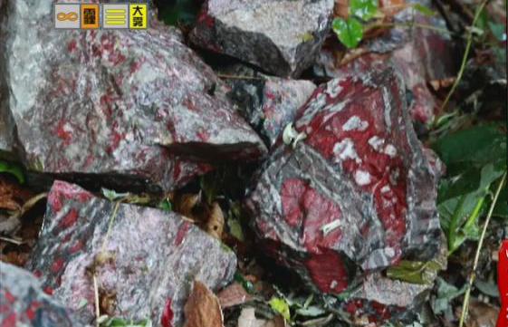 驚！神農(nóng)架無人區(qū)現(xiàn)神秘玉石