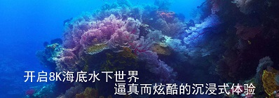 開(kāi)啟8kK海底水下世界
